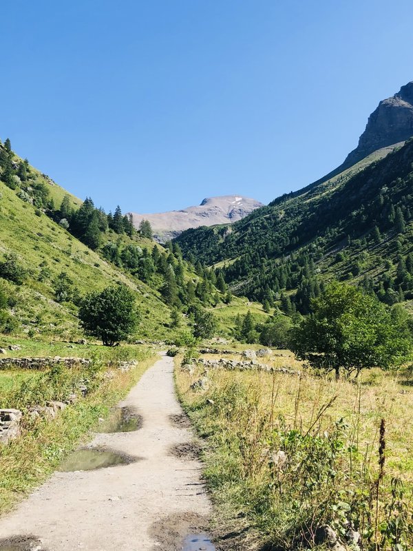 Come sfruttare al meglio l'illuminazione naturale in una mansarda adibita a studio fotografico?