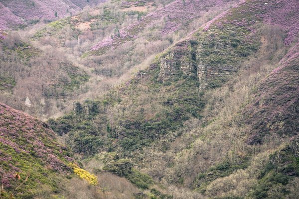 Quali tasse e imposte devo considerare quando eredito un immobile in Italia?